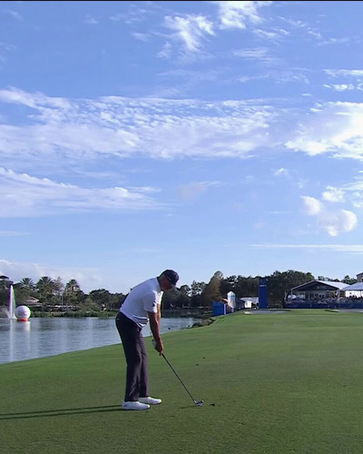 R Pru7VqP5s98hy .jpg