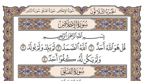 W FoxcrO83VuP6uE.jpg