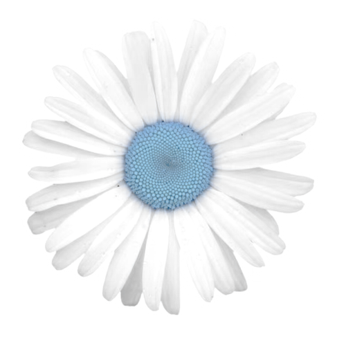 1000065263.png