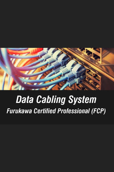 torrent cover 49733.jpg