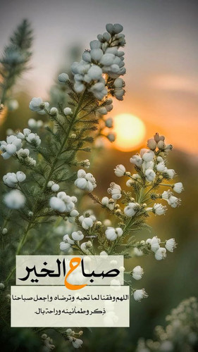G8qoJEhWAAA3ILN.jpg