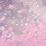 986CAD33 4E0B 4FC1 A82F 0F0F072042A9.gif