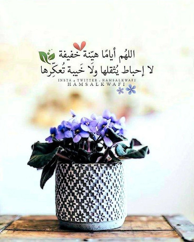 G8p8w78XQAApQJM.jpg