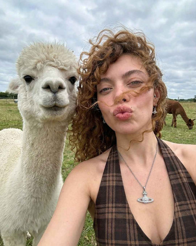 ALPACA KISS.jpg