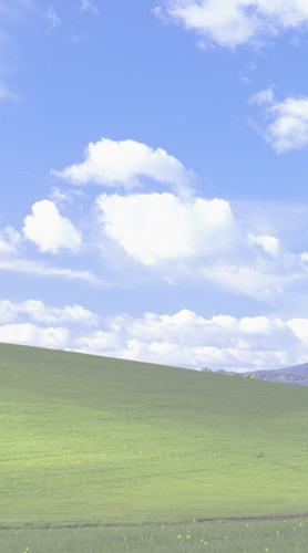 flmFRIV.png