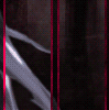 2ef.gif
