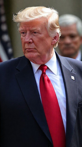 263ac7a745c7.jpg