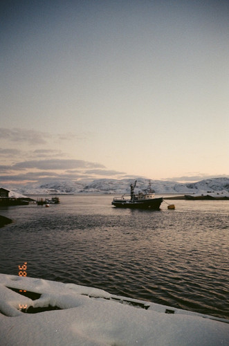 category 2.jpg