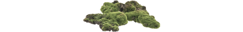 1000036641.png