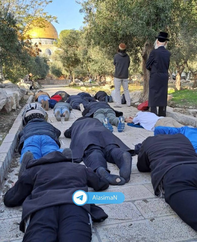 عشرات المستوطنين يؤدون سجودًا ملحميًا خلال اقتحامهم المسجد الأقصى في اليوم الثامن والأخير من عيد الحانوكا العبري....