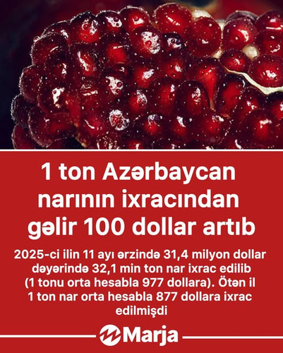 601836015 18426772447117154 7381699421277169331 n.jpg?stp=dst jpg s640x640 tt6& nc cat=105&ccb=1 7& .jpg