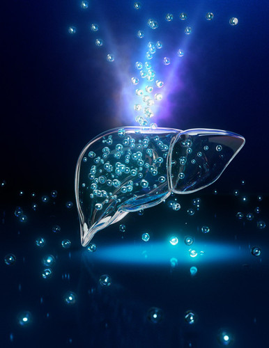 5921571299509603271 y 4.jpg