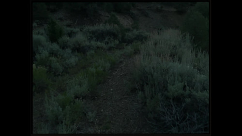 frame2.jpg