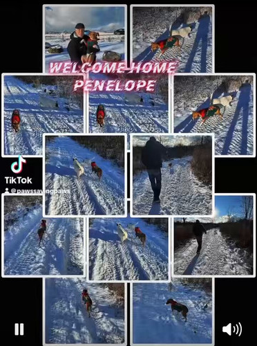 wS4uY aojSh ESYs.jpg