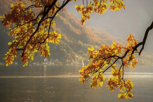 Wm8583Rarn7oY 5Ey2VCH u8iUaDt2hxokTj1LYBC WhjMPo k6ATwTse AQUfG TsFlCRcaFcLltHTO4Z9mz8dIp73ATcnC9uo .jpg