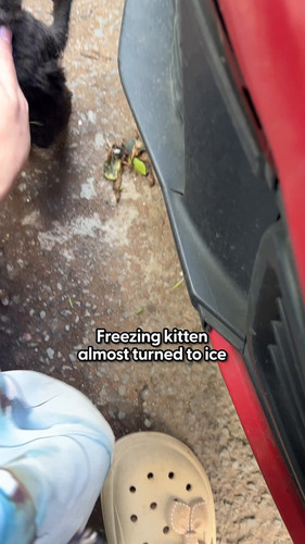 IJCJV gTL92i2Xpk.jpg