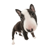 ezgif.com animated gif maker (9).gif