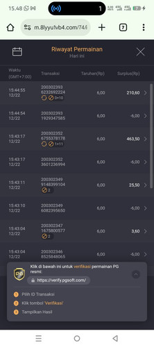 WhatsApp Image 2025 12 22 at 16.04.37.jpg