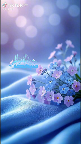 32BpEa 3whUlvkhi.jpg