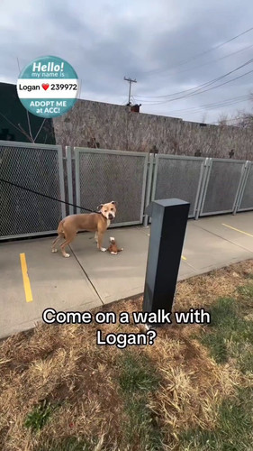 btQHYADVCNlL6 4K.jpg