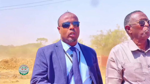 d qW cWZZddzexz8.jpg