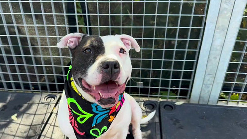 OoQYrjmf0 rKQK 8.jpg