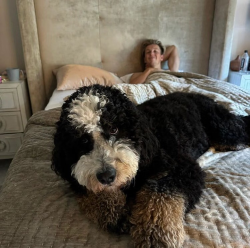 IMG 20251222 164945.png