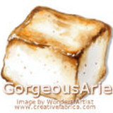 110 GorgeousArie1 vi