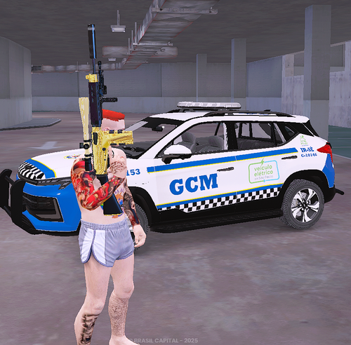 imagem 2025 12 21 235728585.png