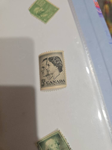 fe1cb80801bb.jpg