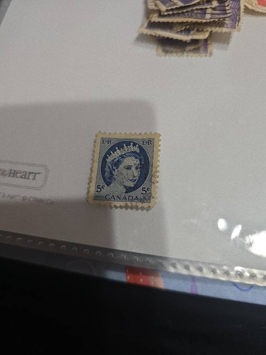 89907c540243.jpg