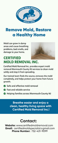 Remove Mold, Restore a Healthy Home.jpg