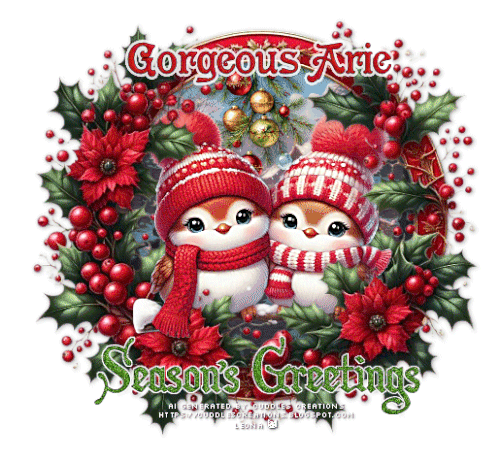 GorgeousArie SGDec25 vi.gif