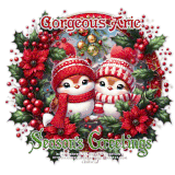 GorgeousArie SGDec25 vi