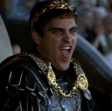 IMG 2888.gif