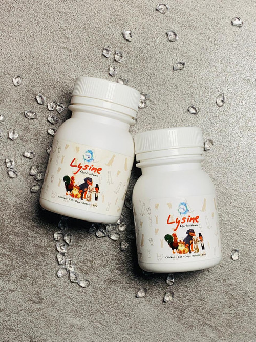 WhatsApp Image 2025 11 25 at 11.17.33.jpg