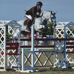 Livery Gloucester - Ouse Valley Liveries.jpg