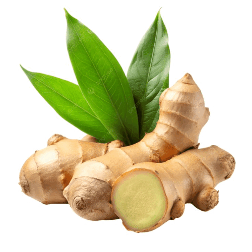 Ginger Rhizome And Sliced With Leaves, Nature, Seasoning, Cooking PNG Transparent Image and Clipart .gif