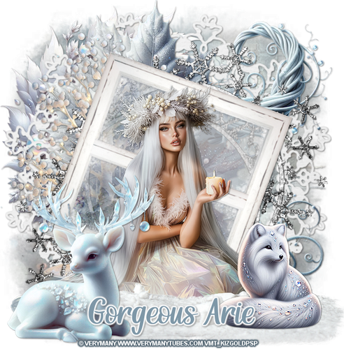 kgwinterlight Gorgeous Arie