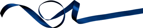 WS Element (88).png
