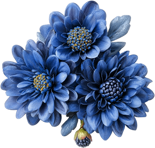 WS Element (98).png