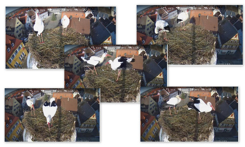 Bilder2.jpg