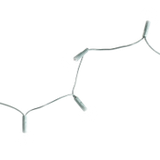 WS Element (34)