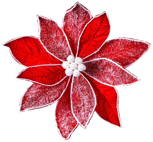 SS PinkPeppernint Elements (125).png