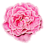 SS PinkPeppernint Elements (131)