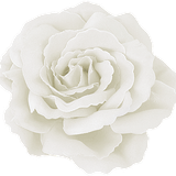 SS PinkPeppernint Elements (143)