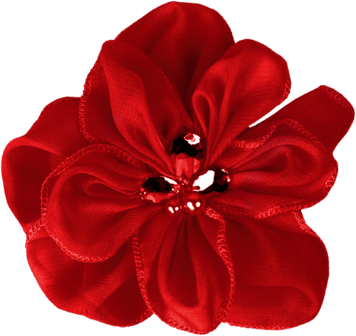 SS PinkPeppernint Elements (124).png