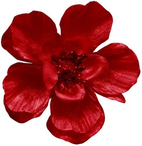 SS PinkPeppernint Elements (133).png