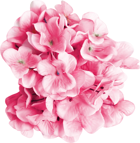 SS PinkPeppernint Elements (119).png
