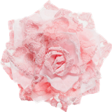 SS PinkPeppernint Elements (138)